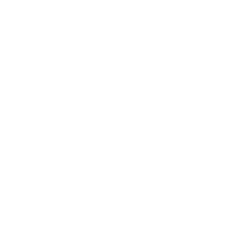 thelastmonkey